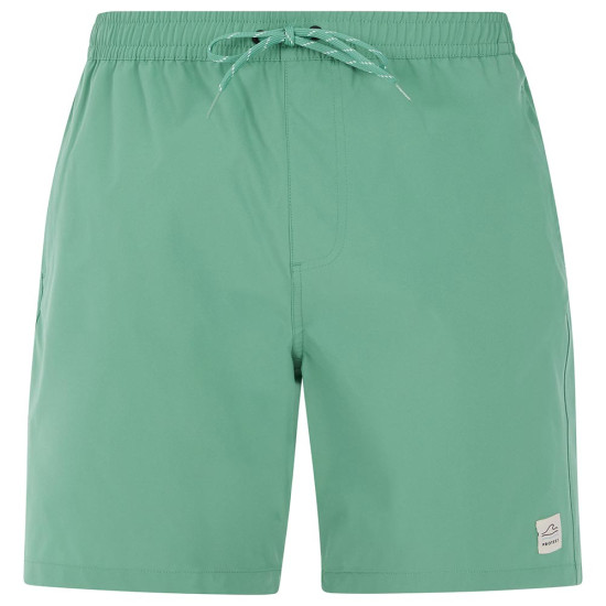 Protest Ανδρικό μαγιό Baky Swim Shorts